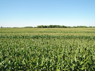 Delaware County, IN farmland - IMPORTANT LAND AUCTION - 492.5+/- ACRES OFFERED IN 14 TRACTS IN DELAWARE COUNTY, INDIANA